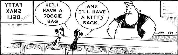 11041297_10154060653384746_3537163031487017635_n