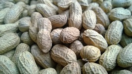 peanuts