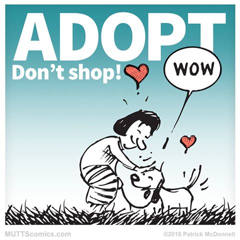 adopt