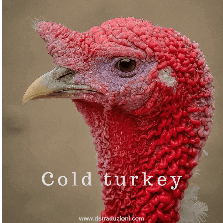cold-turkey