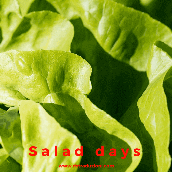 salad-days
