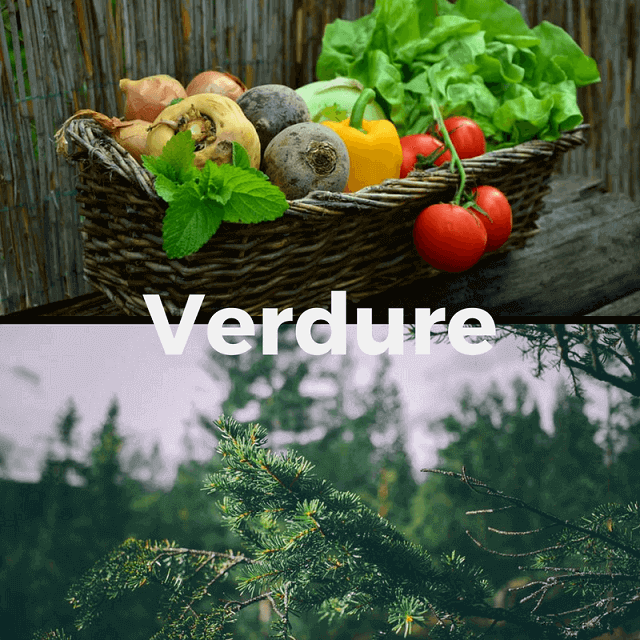 Verdure