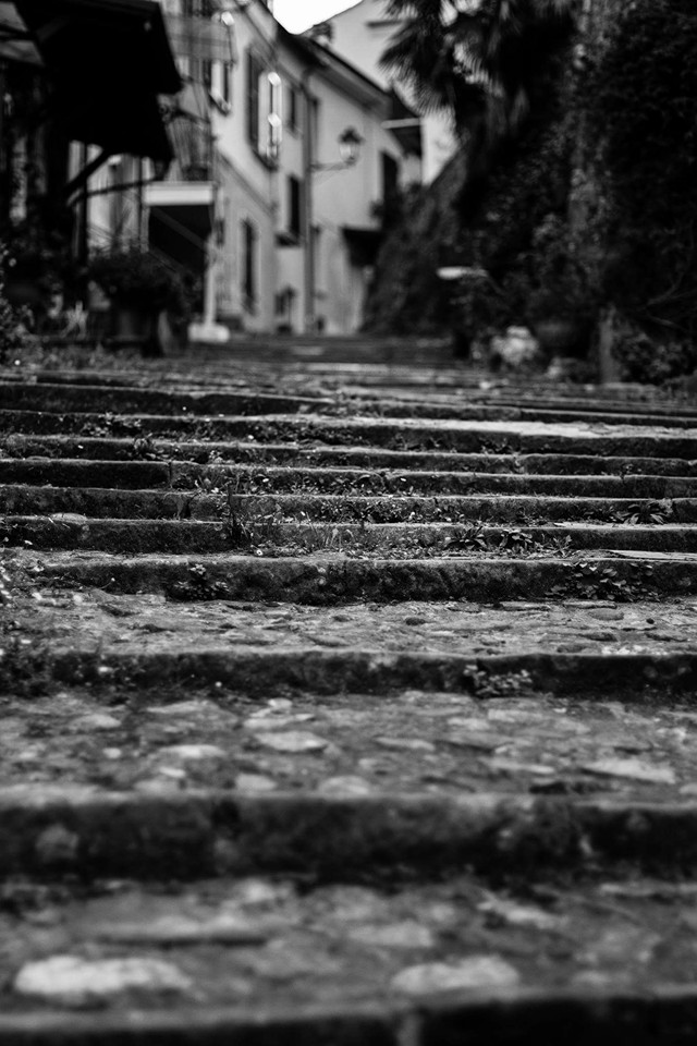 14292240_1591394587823733_4779248642389153689_n