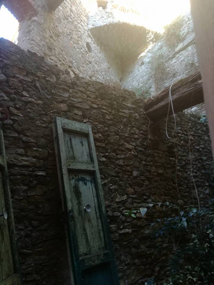 20993872_1950801361829174_6744859250402495806_n