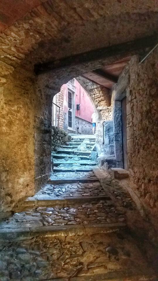 21077546_1950801825162461_6227533776597155282_n