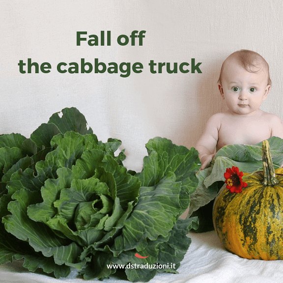 Fall of the cabbage truck