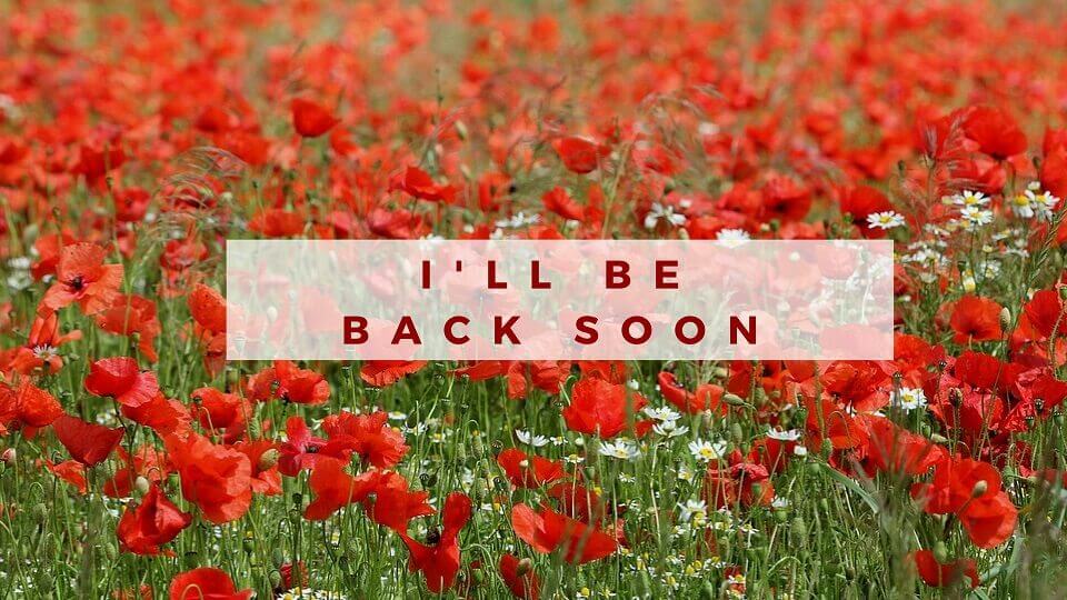 Back soon – Debora Serrentino