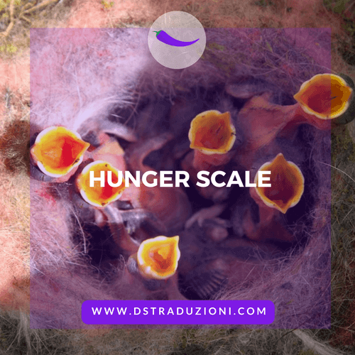 Hunger scale