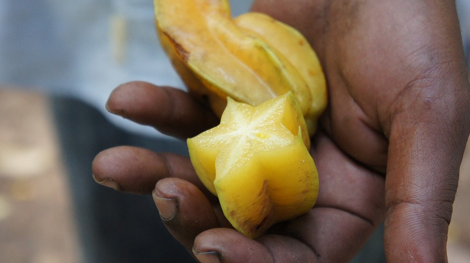 carambola3