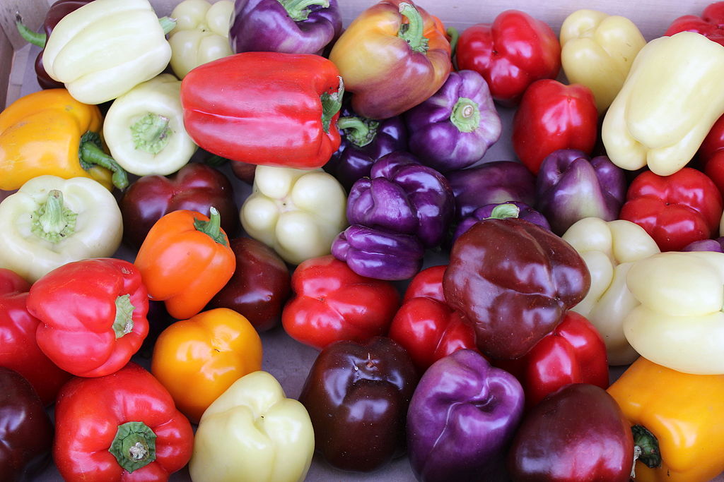 Colorful_Bell_Peppers