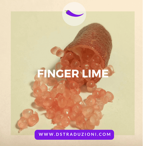 finger lime