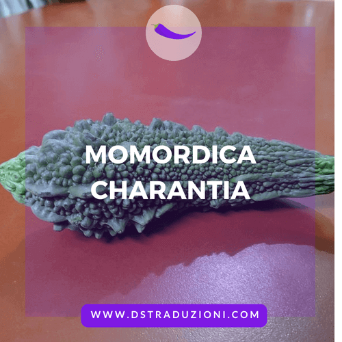 momordica charantia