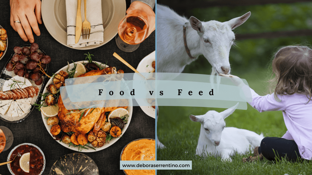 L'immagine illustra il titolo: "food vs feed". Da un lato c'è una tavola imbandita con un pollo arrosto in primo piano, dall'altra una bambina dà da mangiare a una capra bianca. 